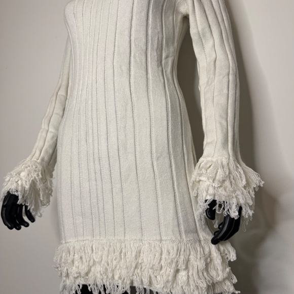 MISSGUIDED Ribbed Knit Mini Dress With Fringe Winter Long Sleeve Turtleneck - Picture 4 of 7